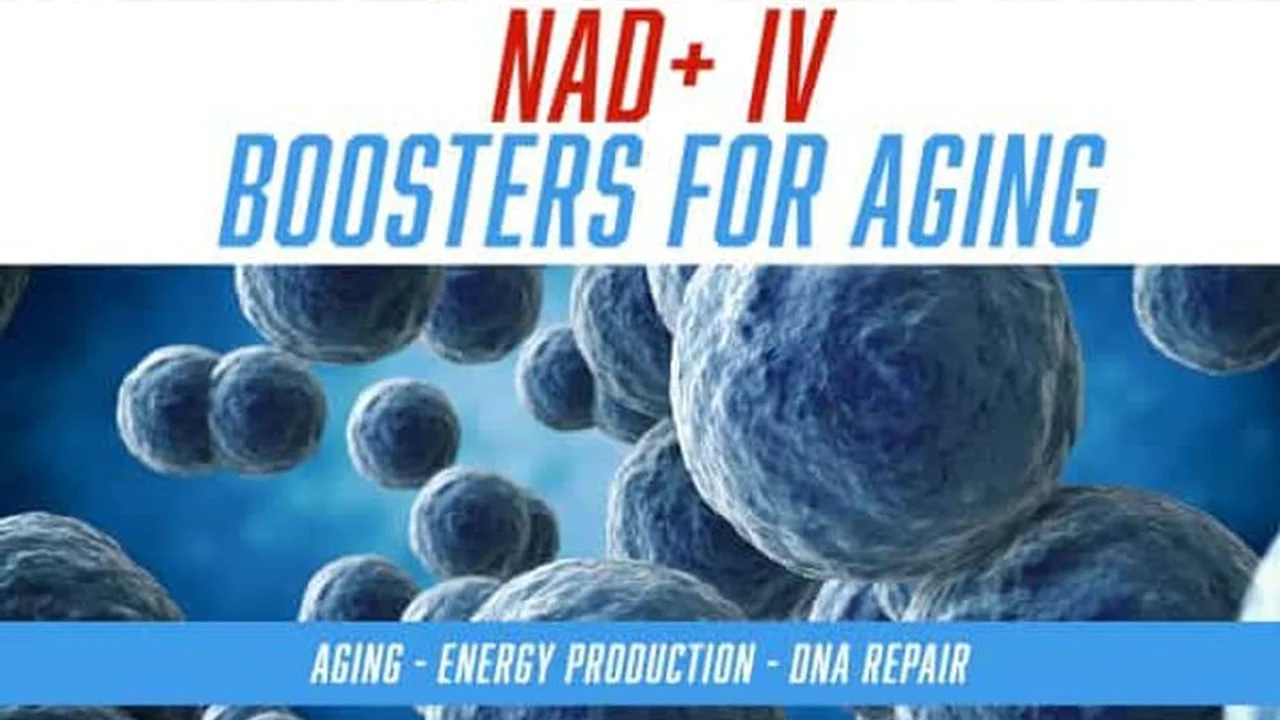 Two mint chocolate milkshakes with whipped cream and green sprinkles.