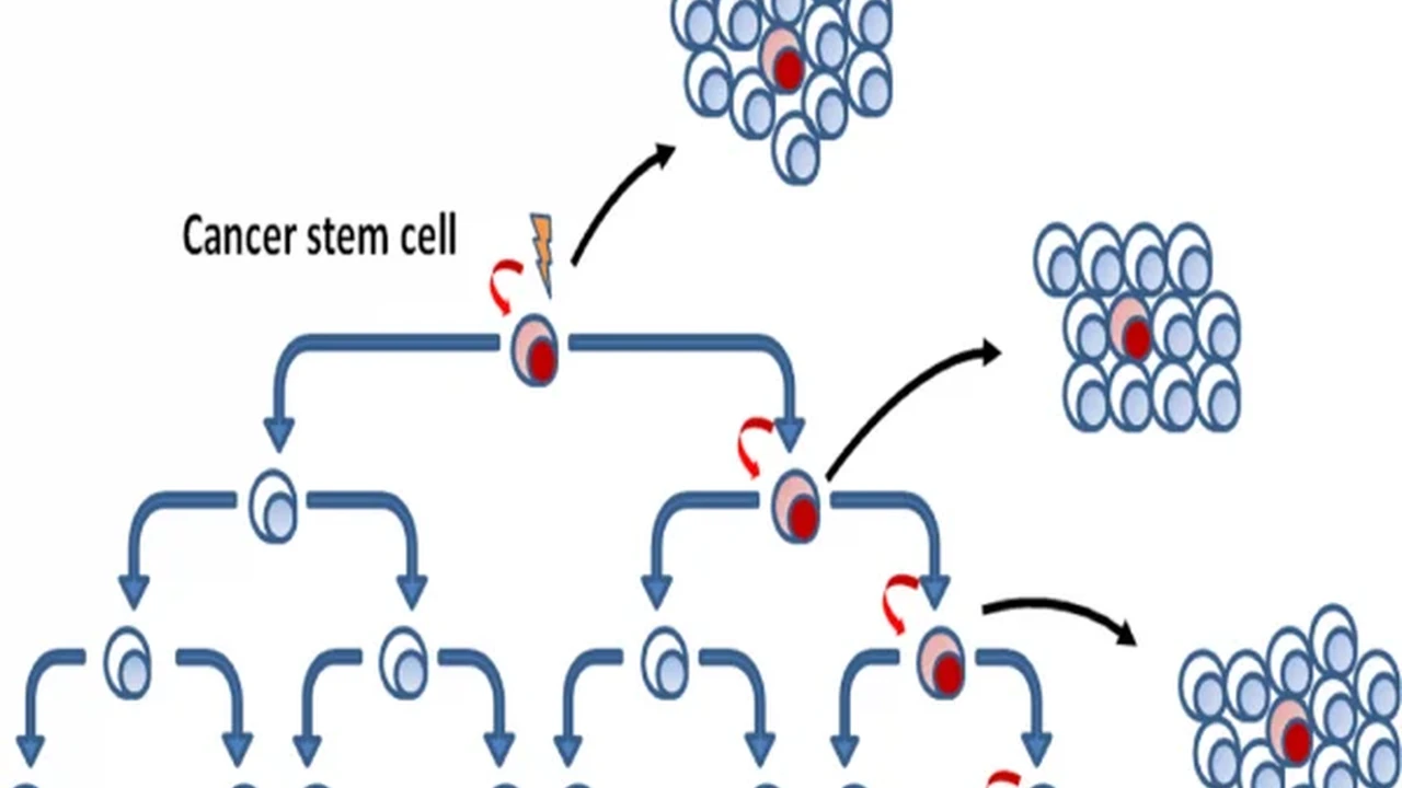 Two mint chocolate milkshakes with whipped cream and green sprinkles.